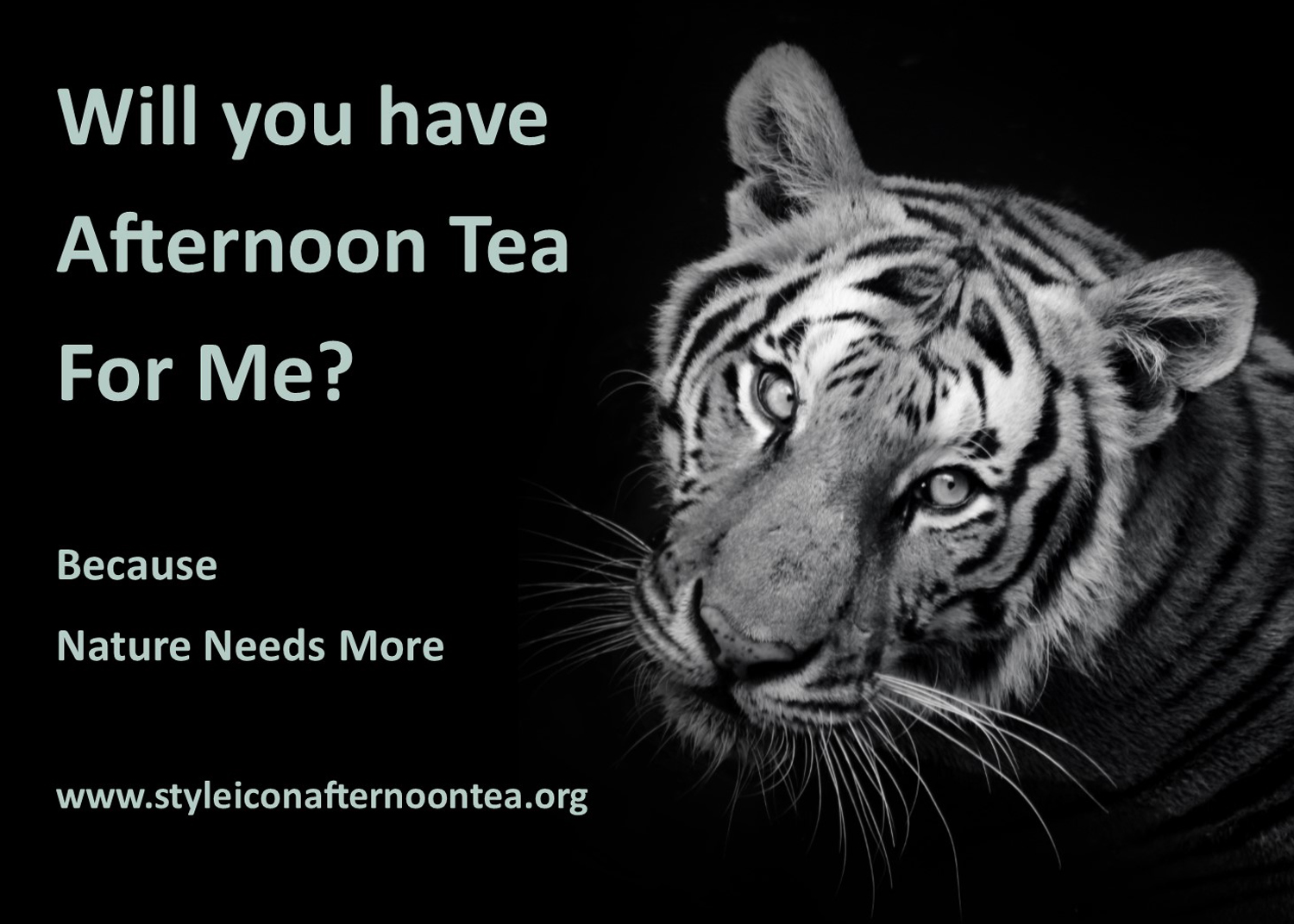 Will You Have Afternoon Tea For Me Tiger