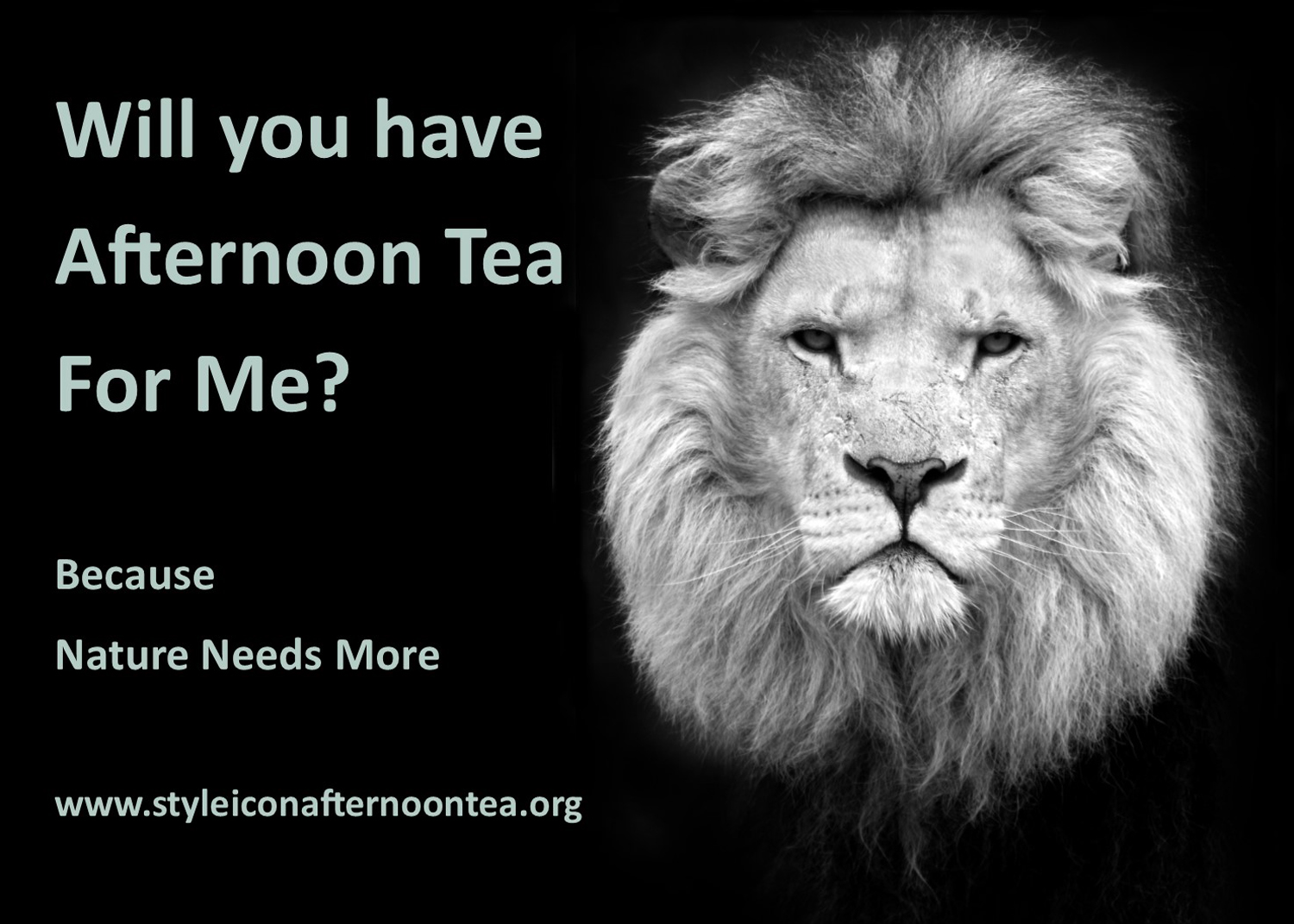 Will You Have Afternoon Tea For Me Lion