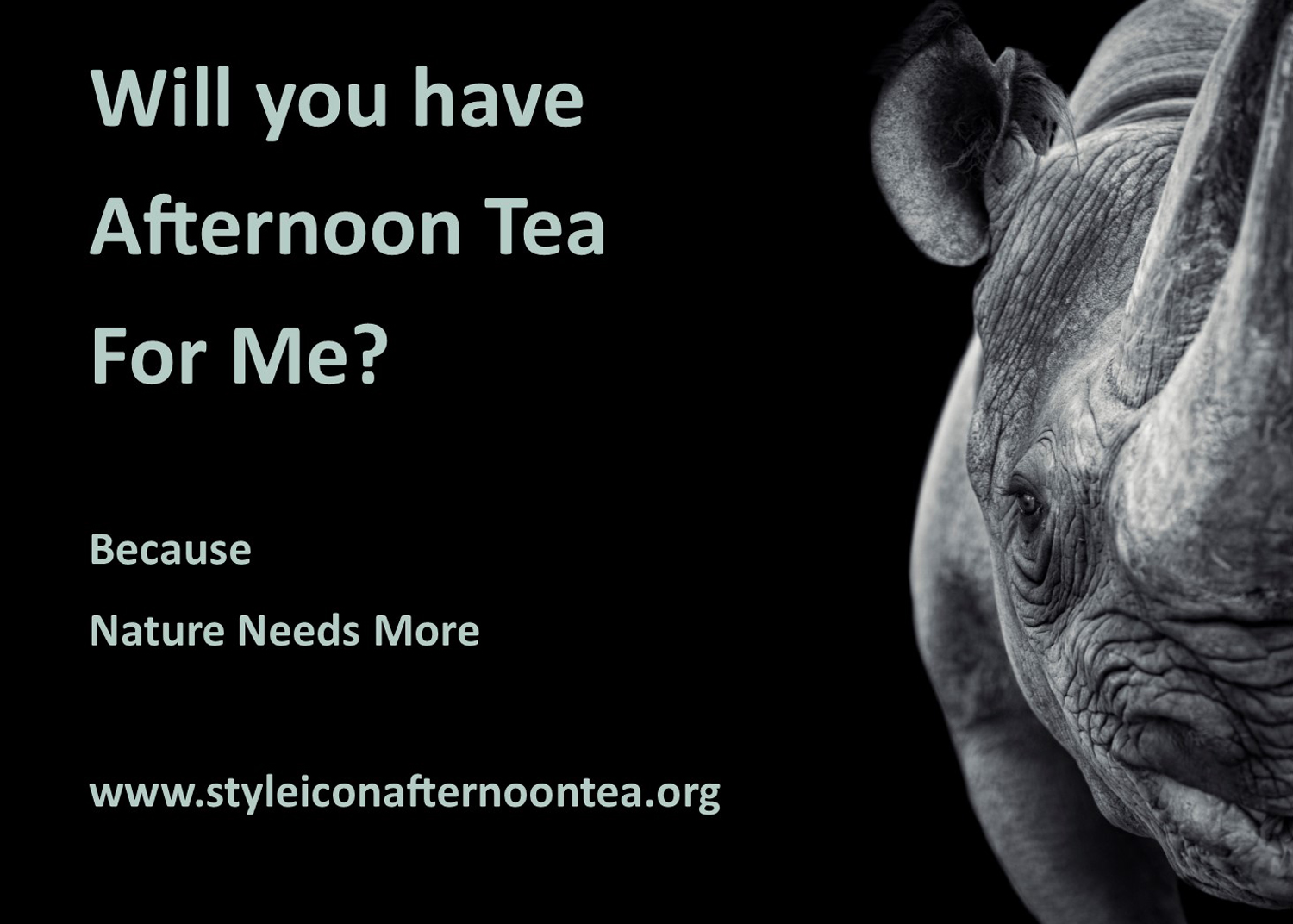Will You Have Afternoon Tea For Me Rhino