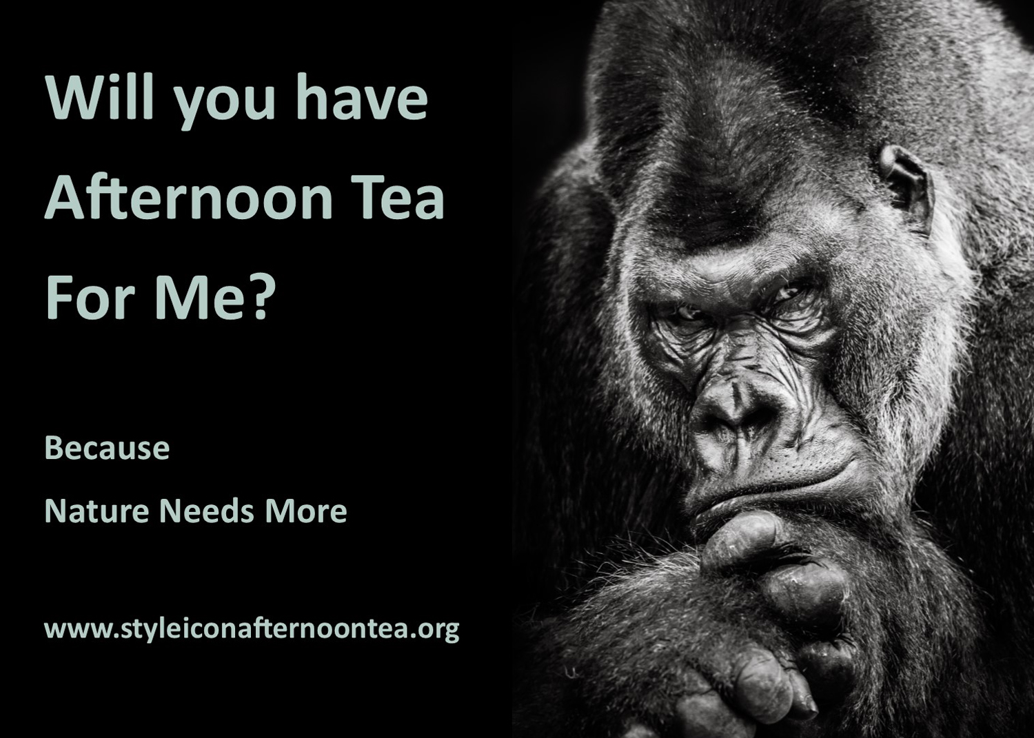 Will You Have Afternoon Tea For Me Gorilla