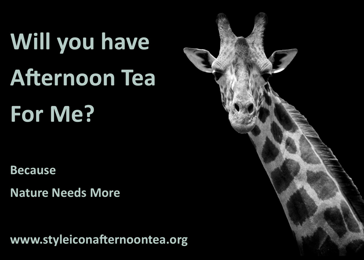 Will You Have Afternoon Tea For Me Giraffe