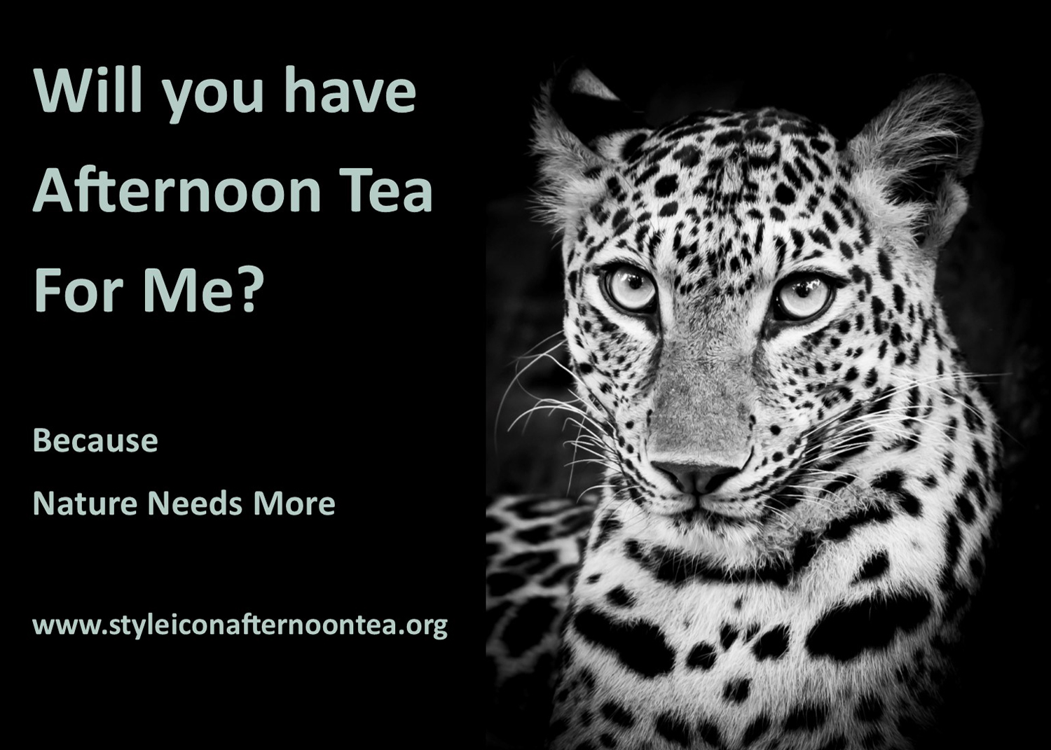 Will You Have Afternoon Tea For Me Leopard